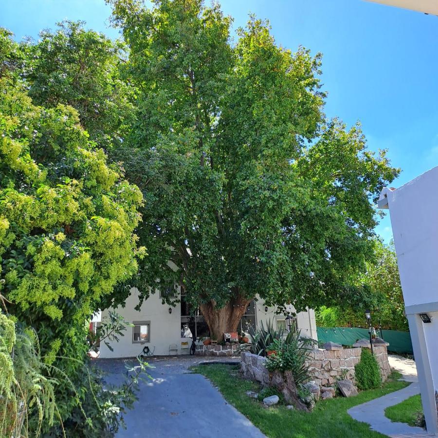 קאפילה דל מונטה Posada Del Arbol מראה חיצוני תמונה